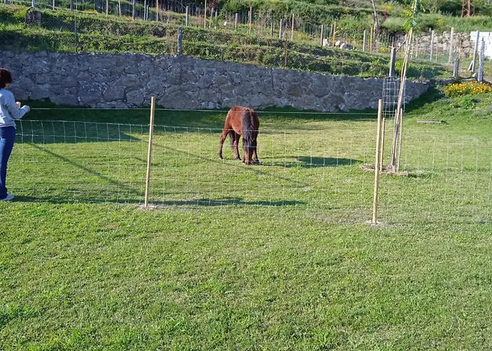 Quinta Dos Campos - 2